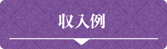 収入例
